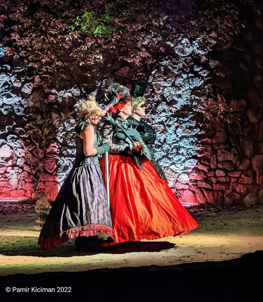 Cinderella's Stepmother and Stepsisters